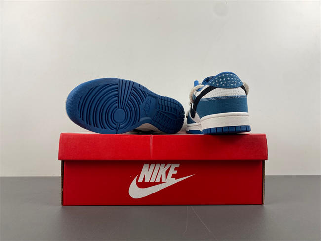 Nike Dunk Low  DV0834-101