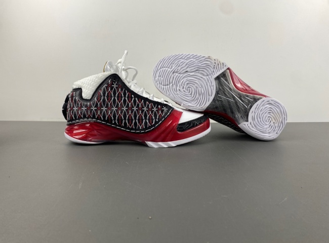 Titan x Air Jordan 23 318376-061