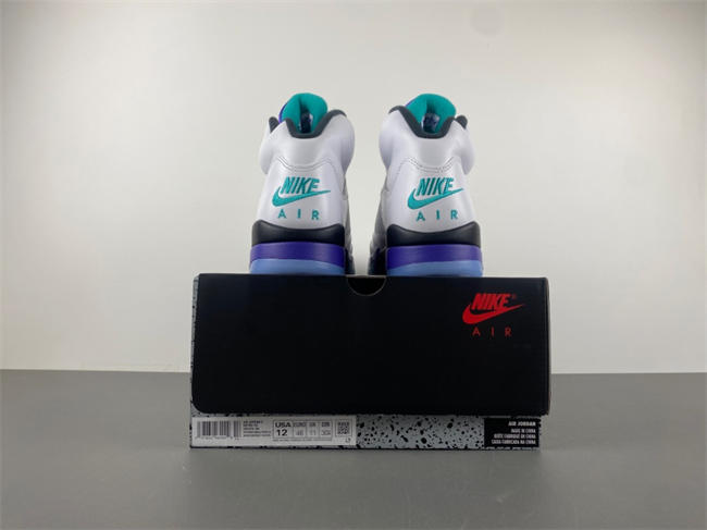 Air Jordan 5 Retro Grape HQ7978-100